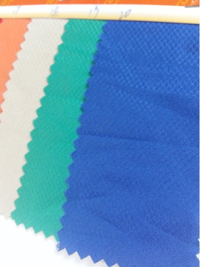 FS-CGFA 菱形格 後面照